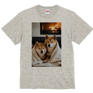 Č TVc fB[X t@  t  vg JWA 킢 lԗp h ̃fUC ʔ gF Č ѕz