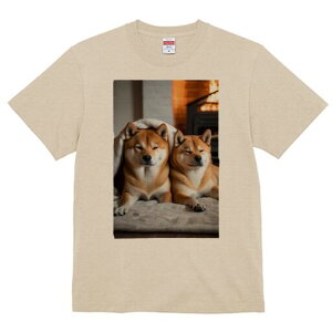 Č TVc fB[X t@  t  vg JWA 킢 lԗp h ̃fUC ʔ gF Č ѕz