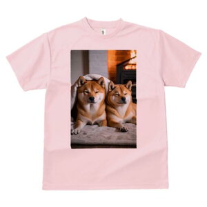 Č TVc fB[X t@  t  vg JWA 킢 lԗp h ̃fUC ʔ gF Č ѕz