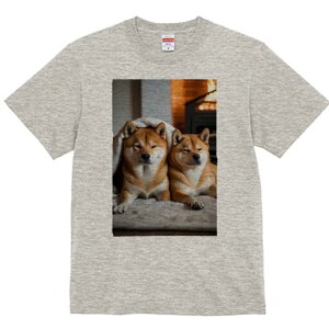 Č TVc fB[X t@  t  vg JWA 킢 lԗp h ̃fUC ʔ gF Č ѕz