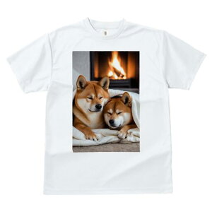 Č TVc fB[X t@  t  vg JWA 킢 lԗp h ̃fUC ʔ gF Č ѕz  g