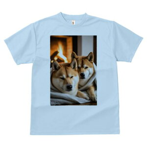 柴犬 Tシャツ レディース 犬ファン 半袖 春夏 犬柄 プリント カジュアル かわいい 人間用 個性派 ここだけのデザイン 面白 暖炉 柴犬 毛布
