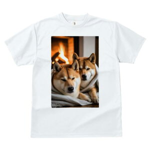 Č TVc fB[X t@  t  vg JWA 킢 lԗp h ̃fUC ʔ gF Č ѕz