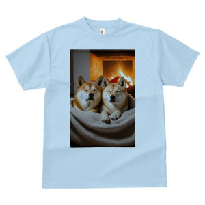 Č TVc fB[X t@  t  vg JWA 킢 lԗp h ̃fUC ʔ gF Č ѕz