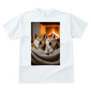 Č TVc fB[X t@  t  vg JWA 킢 lԗp h ̃fUC ʔ gF Č ѕz