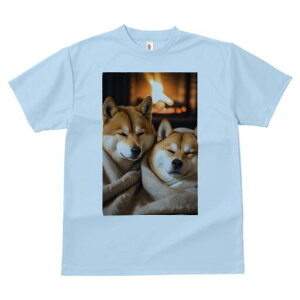 Č TVc fB[X t@  t  vg JWA 킢 lԗp h ̃fUC ʔ gF Č ѕz  g