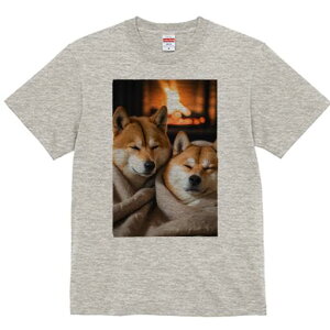 Č TVc fB[X t@  t  vg JWA 킢 lԗp h ̃fUC ʔ gF Č ѕz  g