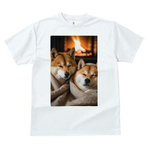 Č TVc fB[X t@  t  vg JWA 킢 lԗp h ̃fUC ʔ gF Č ѕz  g