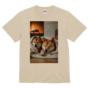 Č TVc fB[X t@  t  vg JWA 킢 lԗp h ̃fUC ʔ gF Č ѕz ؖ