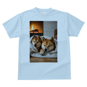 Č TVc fB[X t@  t  vg JWA 킢 lԗp h ̃fUC ʔ gF Č ѕz ؖ