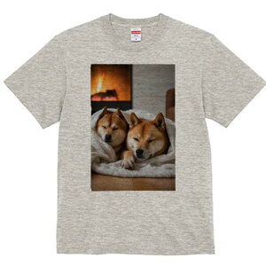 Č TVc fB[X t@  t  vg JWA 킢 lԗp h ̃fUC ʔ gF Č ѕz ؖ