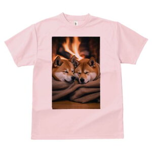 Č TVc fB[X t@  t  vg JWA 킢 lԗp h ̃fUC ʔ gF Č ѕz  g