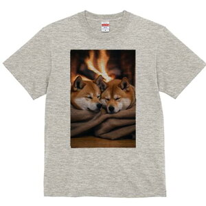 Č TVc fB[X t@  t  vg JWA 킢 lԗp h ̃fUC ʔ gF Č ѕz  g