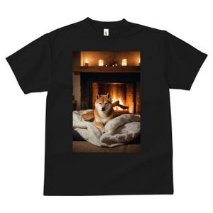 Č TVc fB[X t@  t  vg JWA 킢 lԗp h ̃fUC ʔ gF Č Lh ѕz ~ g