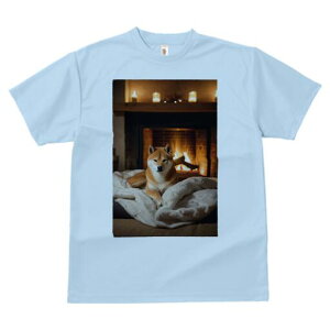 Č TVc fB[X t@  t  vg JWA 킢 lԗp h ̃fUC ʔ gF Č Lh ѕz ~ g