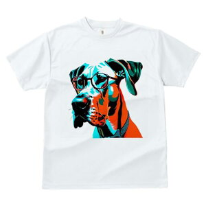 O[gf[ TVc fB[X t@  t  vg JWA 킢 lԗp h ̃fUC ʔ Kl O[gf[ lN^C