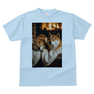 Č TVc fB[X t@  t  vg JWA 킢 lԗp h ̃fUC ʔ gF Č uPbg \t@