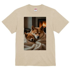 Č TVc fB[X t@  t  vg JWA 킢 lԗp h ̃fUC ʔ gF Č ѕz  x