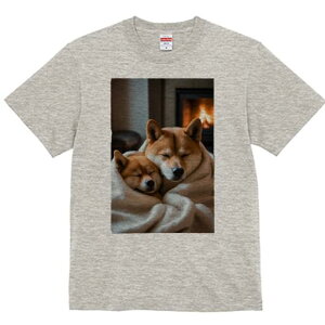 Č TVc fB[X t@  t  vg JWA 킢 lԗp h ̃fUC ʔ gF Č ѕz  x