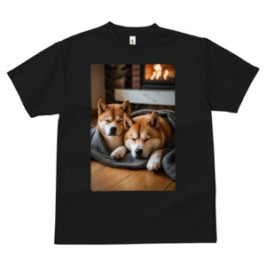 Č TVc fB[X t@  t  vg JWA 킢 lԗp h ̃fUC ʔ gF Č ѕz ؂̏