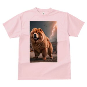 `E`E TVc fB[X t@  t  vg JWA 킢 lԗp h ̃fUC ʔ  `E`E