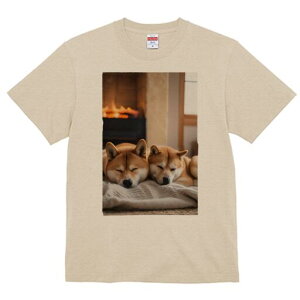 Č TVc fB[X t@  t  vg JWA 킢 lԗp h ̃fUC ʔ gF Č