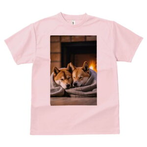 Č TVc fB[X t@  t  vg JWA 킢 lԗp h ̃fUC ʔ gF Č uPbg g ~