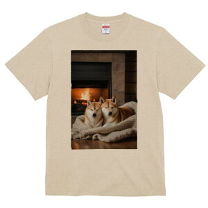 Č TVc fB[X t@  t  vg JWA 킢 lԗp h ̃fUC ʔ gF Č ѕz 