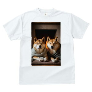 柴犬 Tシャツ レディース 犬ファン 半袖 春夏 犬柄 プリント カジュアル かわいい 人間用 個性派 ここだけのデザイン 面白 暖炉 柴犬 毛布