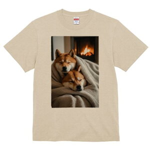 Č TVc fB[X t@  t  vg JWA 킢 lԗp h ̃fUC ʔ gF Č ѕz g ~