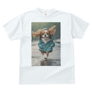 LoA TVc fB[X t@  t  vg JWA 킢 lԗp h ̃fUC ʔ J LoA CR[g  ~J