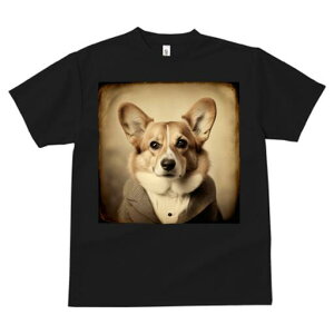 R[M[ TVc fB[X t@  t  vg JWA 킢 lԗp h ̃fUC ʔ X[c R[M[ 