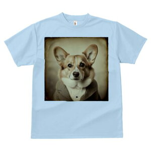 R[M[ TVc fB[X t@  t  vg JWA 킢 lԗp h ̃fUC ʔ X[c R[M[ 