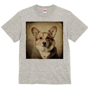 R[M[ TVc fB[X t@  t  vg JWA 킢 lԗp h ̃fUC ʔ X[c R[M[ 