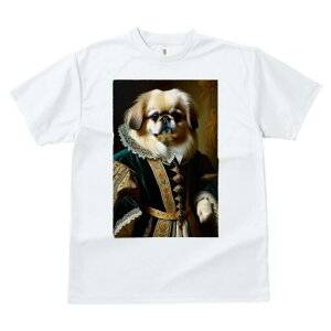 yLj[Y TVc fB[X t@  t  vg JWA 킢 lԗp h ̃fUC ʔ ё yLj[Y lTX  ߑ