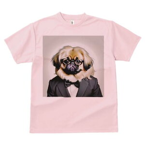 yLj[Y TVc fB[X t@  t  vg JWA 킢 lԗp h ̃fUC ʔ lN^C yLj[Y X[c ዾ