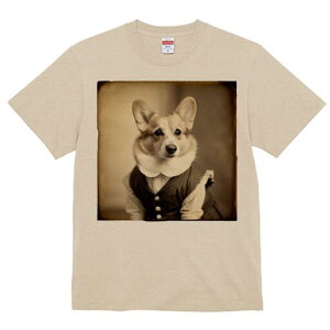 R[M[ TVc fB[X t@  t  vg JWA 킢 lԗp h ̃fUC ʔ g R[M[ Be[W 