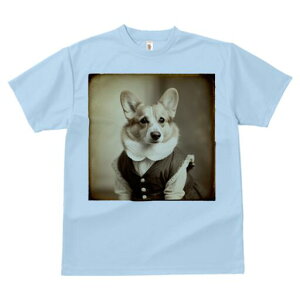 R[M[ TVc fB[X t@  t  vg JWA 킢 lԗp h ̃fUC ʔ g R[M[ Be[W 