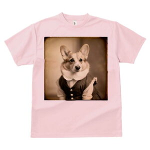 R[M[ TVc fB[X t@  t  vg JWA 킢 lԗp h ̃fUC ʔ g R[M[ Be[W 