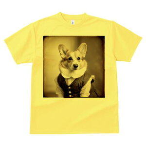 R[M[ TVc fB[X t@  t  vg JWA 킢 lԗp h ̃fUC ʔ g R[M[ Be[W 