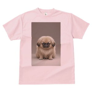 yLj[Y TVc fB[X t@  t  vg JWA 킢 lԗp h ̃fUC ʔ yLj[Y