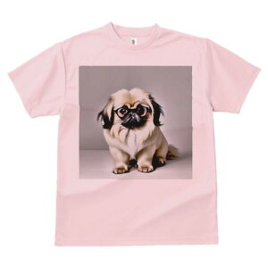 yLj[Y TVc fB[X t@  t  vg JWA 킢 lԗp h ̃fUC ʔ Kl yLj[Y