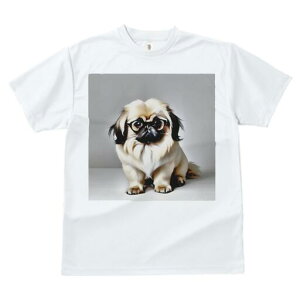 yLj[Y TVc fB[X t@  t  vg JWA 킢 lԗp h ̃fUC ʔ Kl yLj[Y