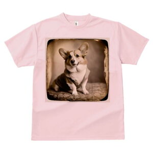 R[M[ TVc fB[X t@  t  vg JWA 킢 lԗp h ̃fUC ʔ AeB[N R[M[ g Be[W Âʐ^