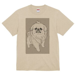 yLj[Y TVc fB[X t@  t  vg JWA 킢 lԗp h ̃fUC ʔ yLj[Y