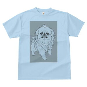 yLj[Y TVc fB[X t@  t  vg JWA 킢 lԗp h ̃fUC ʔ yLj[Y