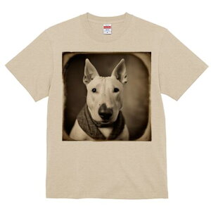 ueA TVc fB[X t@  t  vg JWA 킢 lԗp h ̃fUC ʔ XJ[t ueA