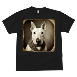 �u���e���A T�V���c ���f�B�[�X ���t�@�� ���� �t�� ���� �v�����g �J�W���A�� ���킢�� �l�ԗp ���h ���������̃f�U�C�� �ʔ� �X�J�[�t �u���e���A