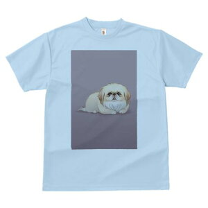 yLj[Y TVc fB[X t@  t  vg JWA 킢 lԗp h ̃fUC ʔ yLj[Y