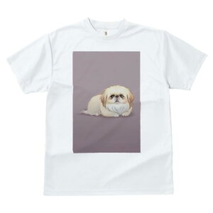 yLj[Y TVc fB[X t@  t  vg JWA 킢 lԗp h ̃fUC ʔ yLj[Y